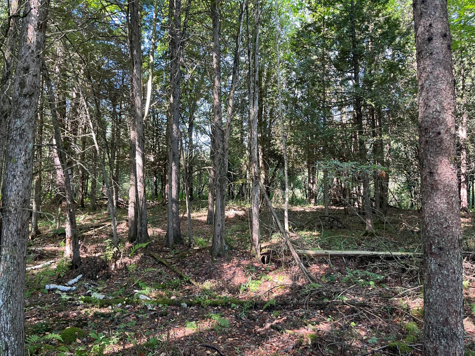 #2 photo, 00 County Route 47, #2, Winthrop , NY 13676