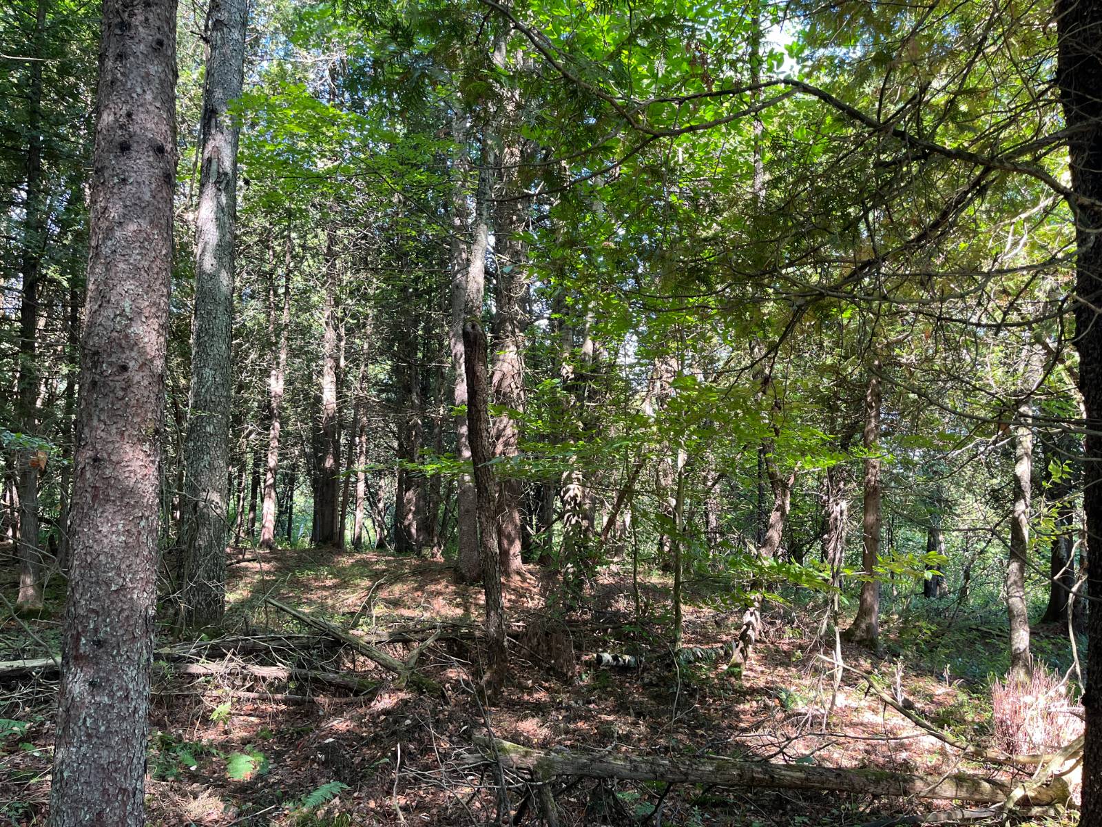 #3 photo, 00 County Route 47, #2, Winthrop , NY 13676