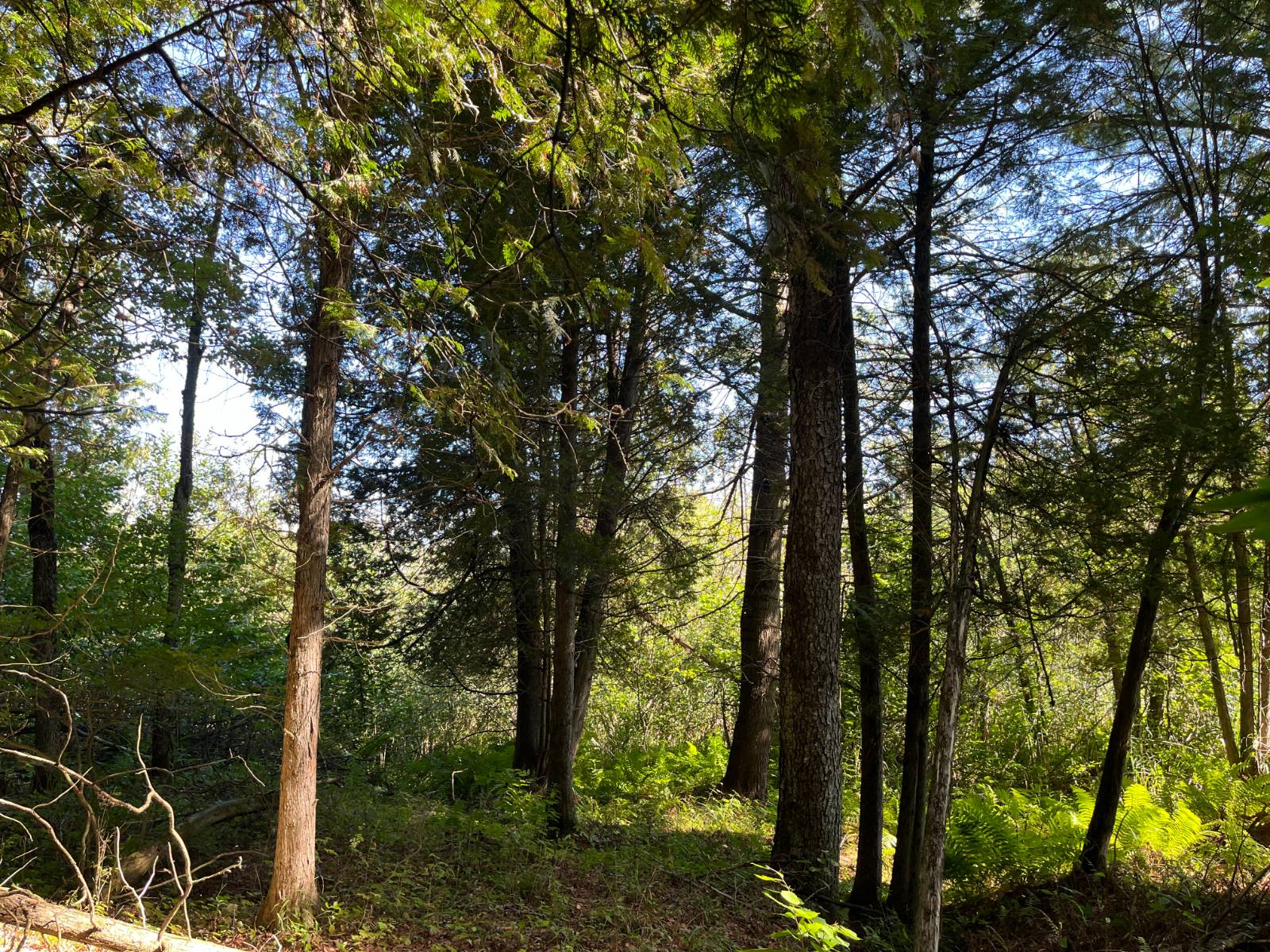 #6 photo, 00 County Route 47, #2, Winthrop , NY 13676