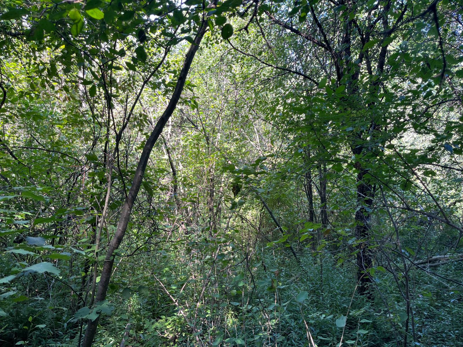 #7 photo, 00 County Route 47, #2, Winthrop , NY 13676