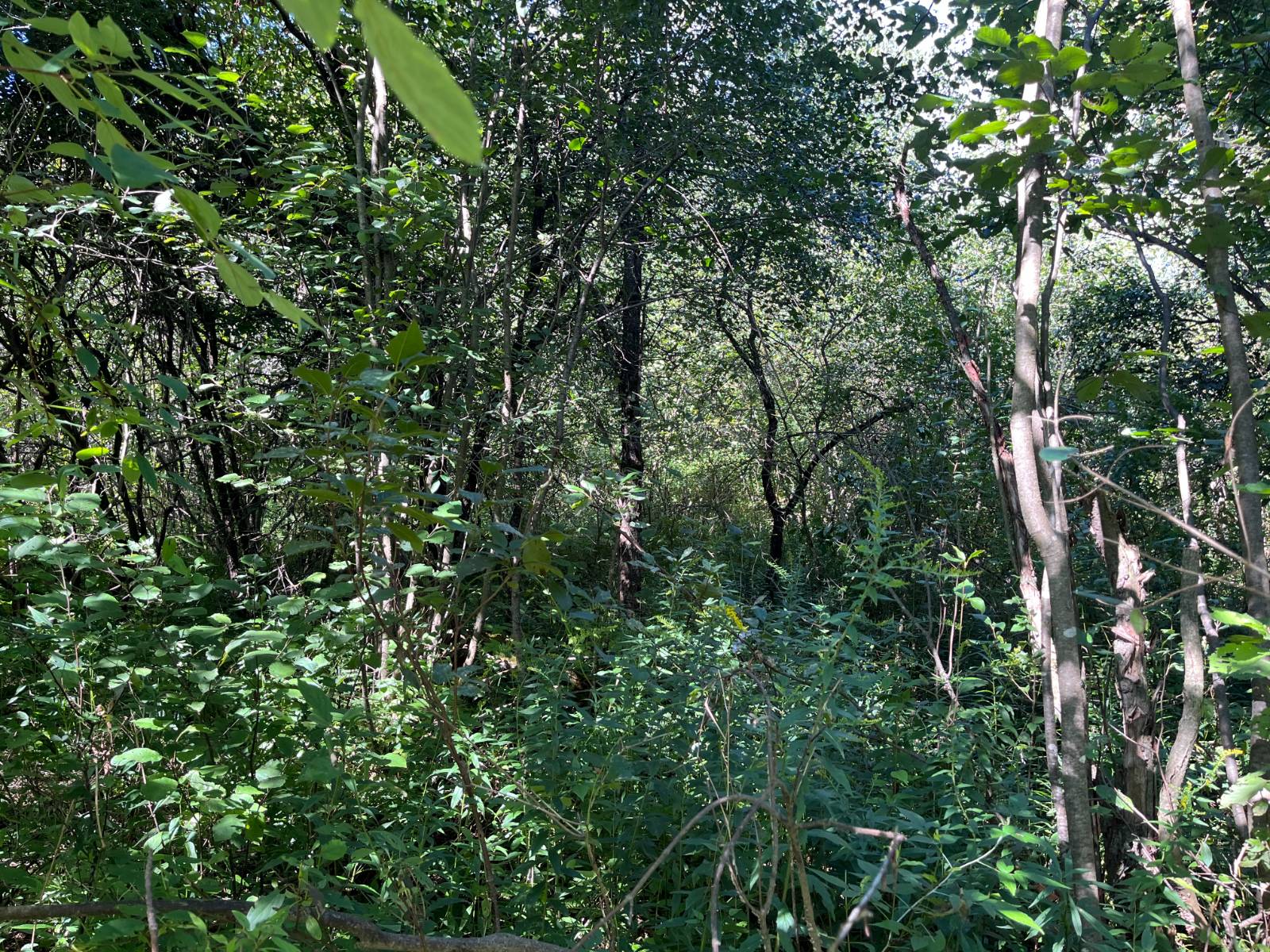 #9 photo, 00 County Route 47, #2, Winthrop , NY 13676