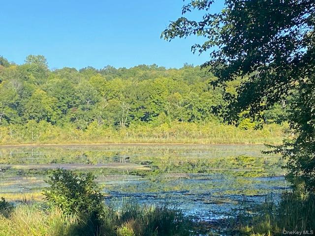 #10 photo, Lily Lake Road, Highland , NY 12528
