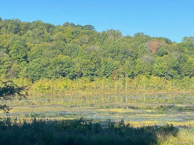 #11 photo, Lily Lake Road, Highland , NY 12528