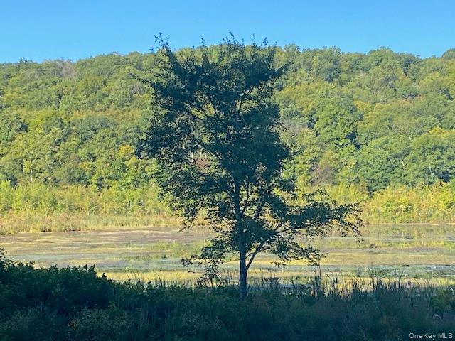 #12 photo, Lily Lake Road, Highland , NY 12528