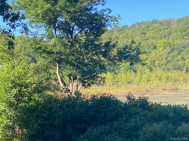 #13 photo, Lily Lake Road, Highland , NY 12528