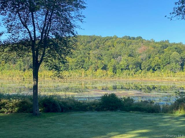 #15 photo, Lily Lake Road, Highland , NY 12528