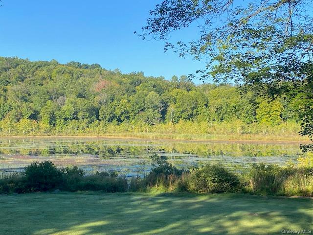 #16 photo, Lily Lake Road, Highland , NY 12528