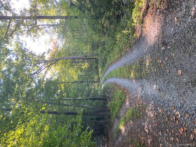 #19 photo, Lily Lake Road, Highland , NY 12528