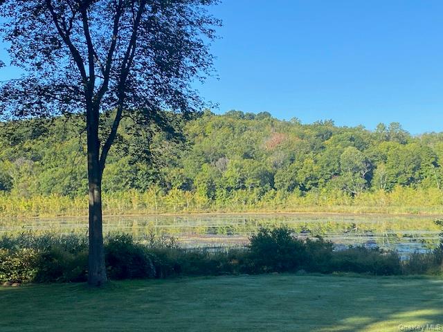 #20 photo, Lily Lake Road, Highland , NY 12528