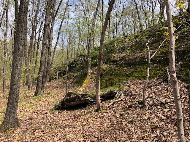 #3 photo, Lily Lake Road, Highland , NY 12528