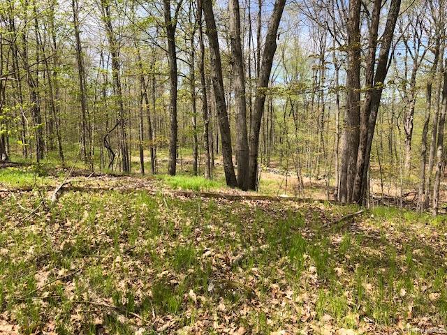 #4 photo, Lily Lake Road, Highland , NY 12528