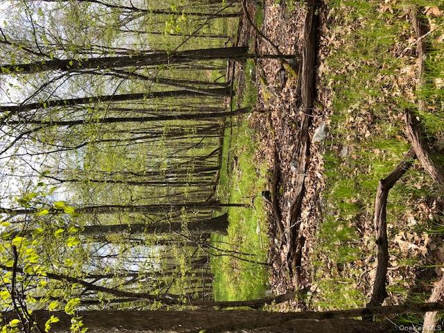 #6 photo, Lily Lake Road, Highland , NY 12528