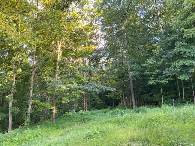 #7 photo, Lily Lake Road, Highland , NY 12528