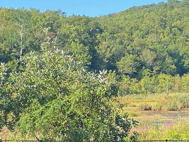 #8 photo, Lily Lake Road, Highland , NY 12528