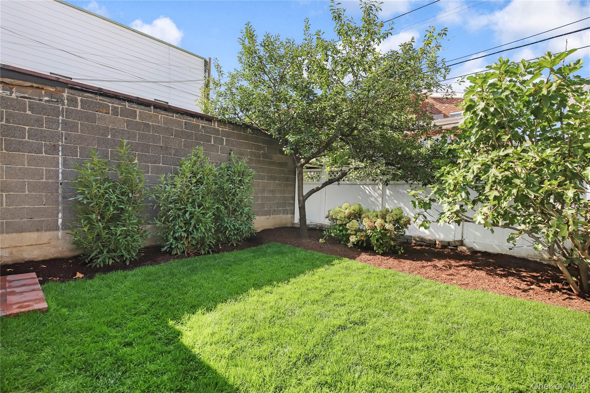 #19 photo, 3173 Shore Parkway, ブルックリン区 Brooklyn , NY 11235