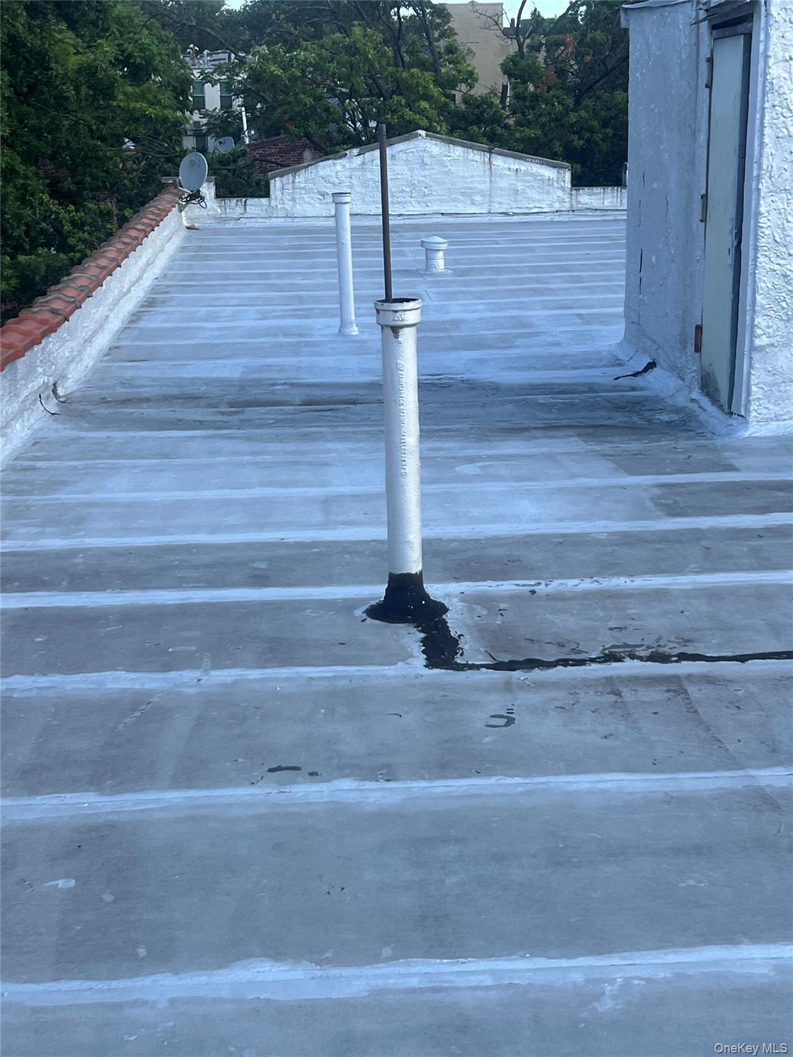 #6 photo, 800 Crown Street, ブルックリン区 Brooklyn , NY 11213