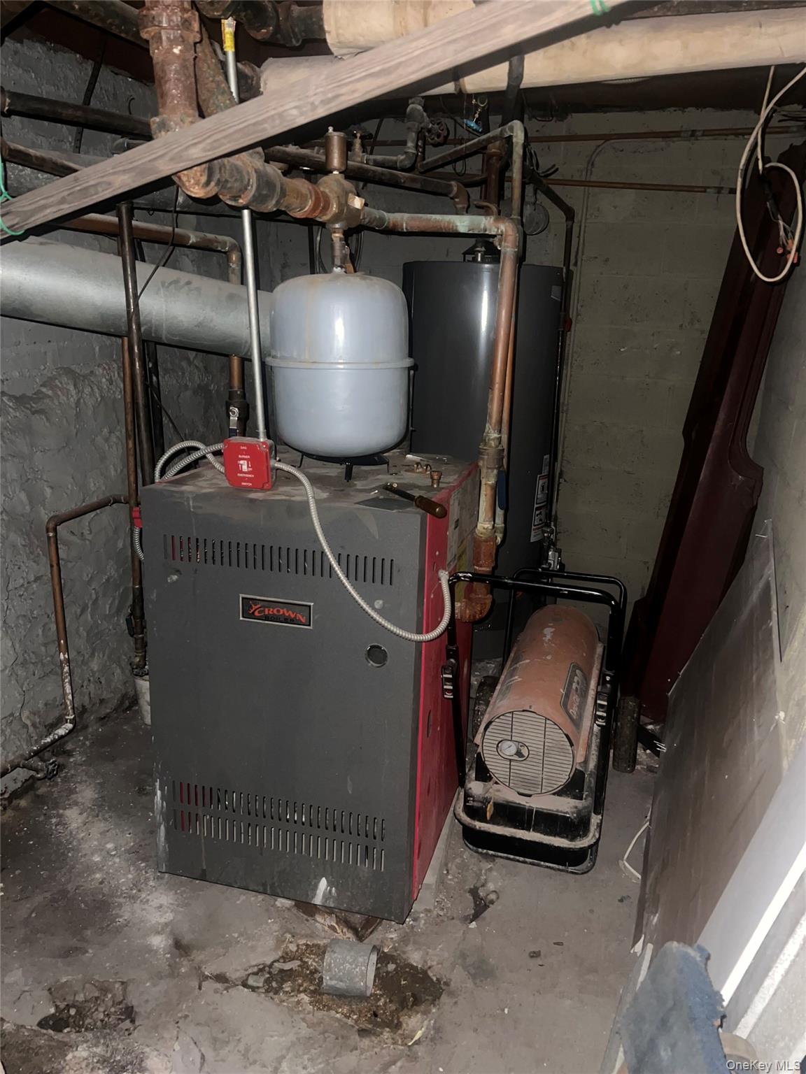 #7 photo, 800 Crown Street, ブルックリン区 Brooklyn , NY 11213