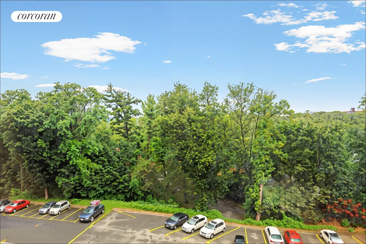 #21 photo, 679 W 239TH Street, ブロンクス区 Central Riverdale , NY 10463