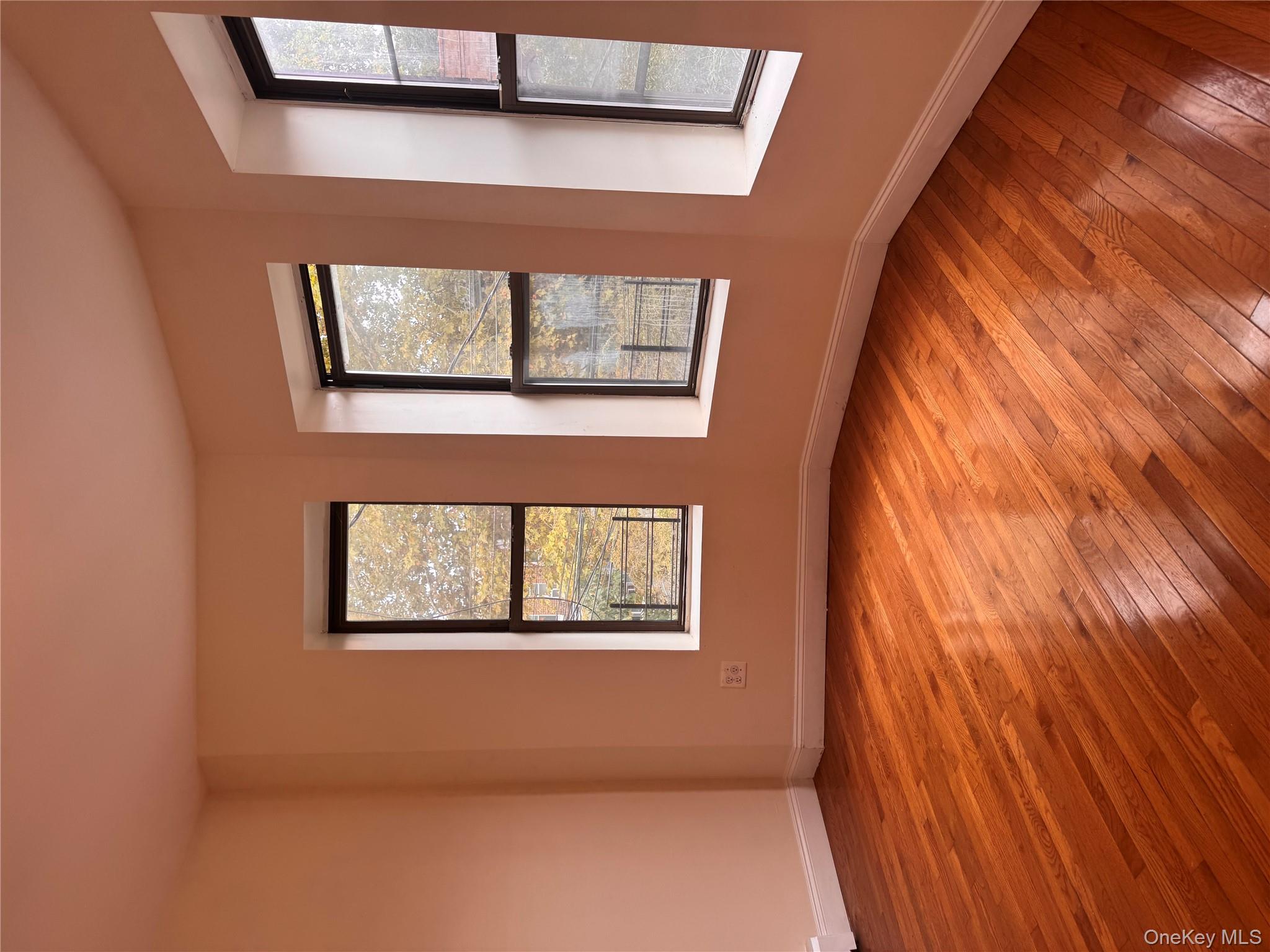 #13 photo, 655 Hendrix Street, Brooklyn , NY 11207