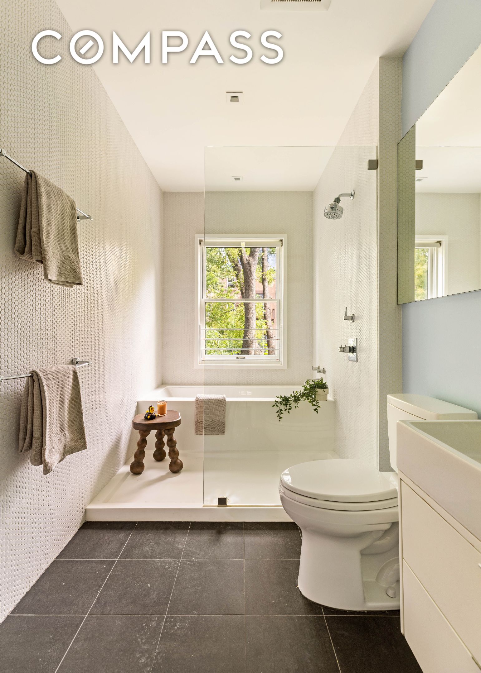 #17 photo, 229 Dean Street, Boerum Hill , NY 11217