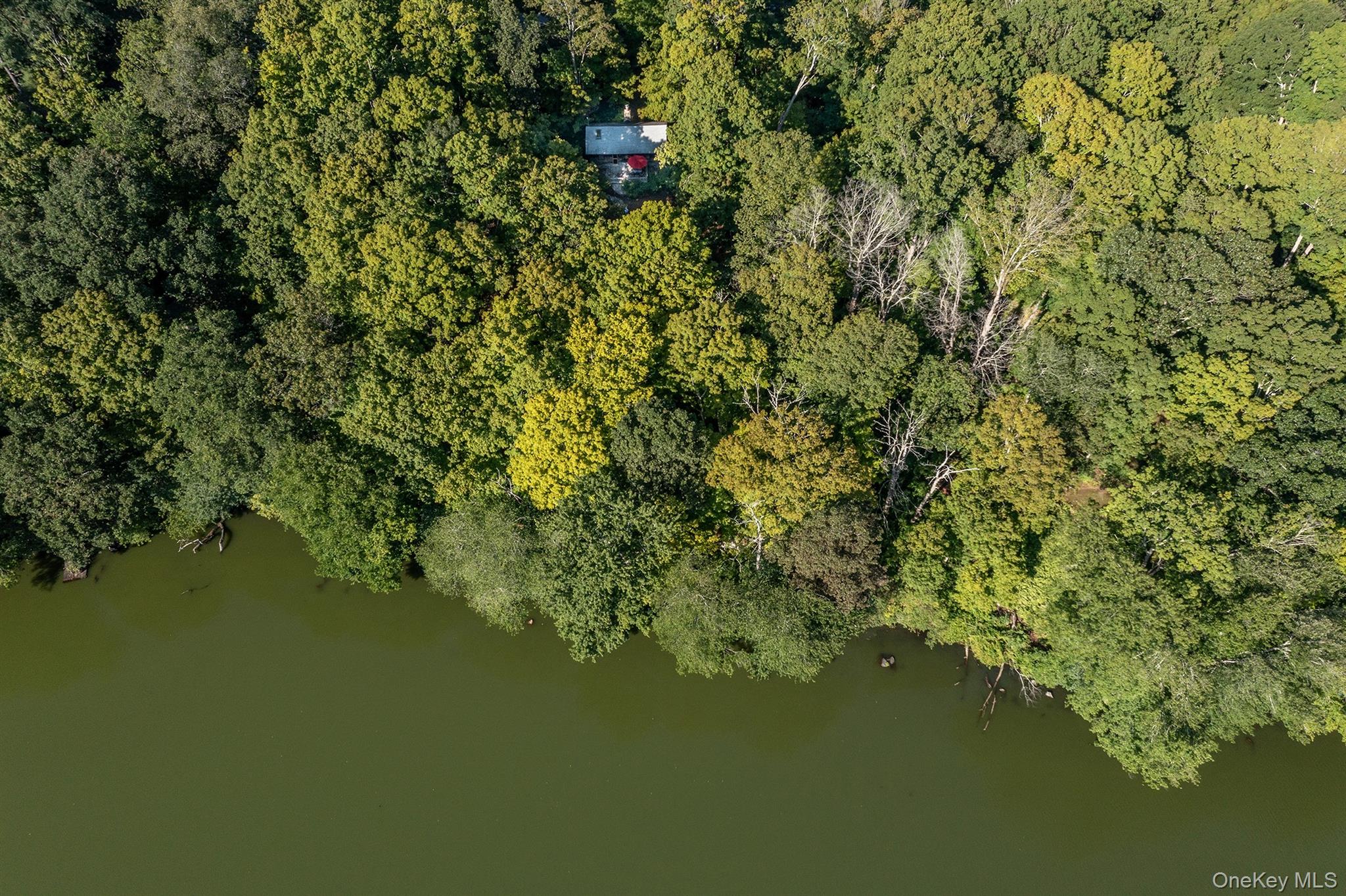 #15 photo, Brewster, Brewster , NY 10509