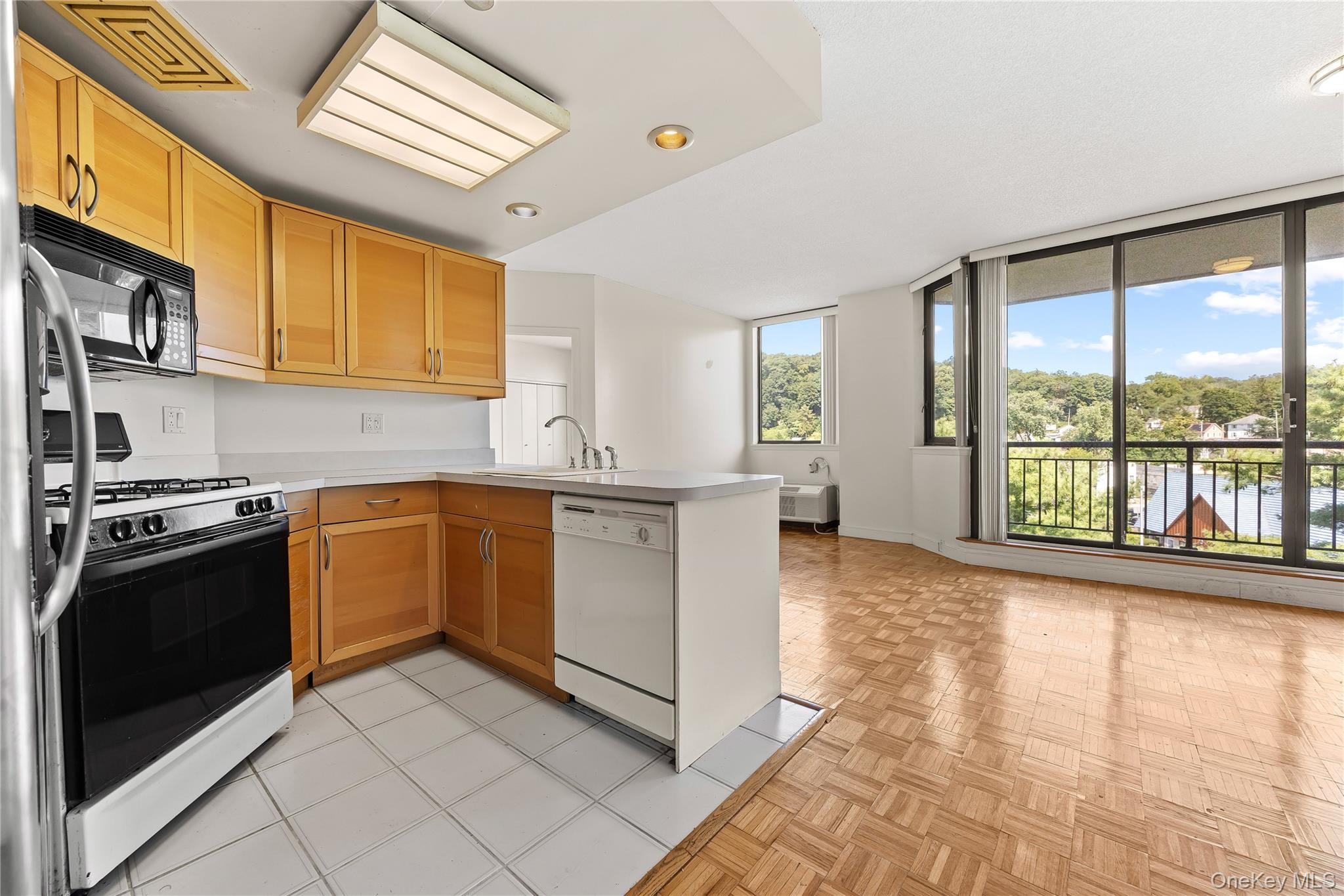 #10 photo, 50 E Hartsdale Avenue, Hartsdale , NY 10530