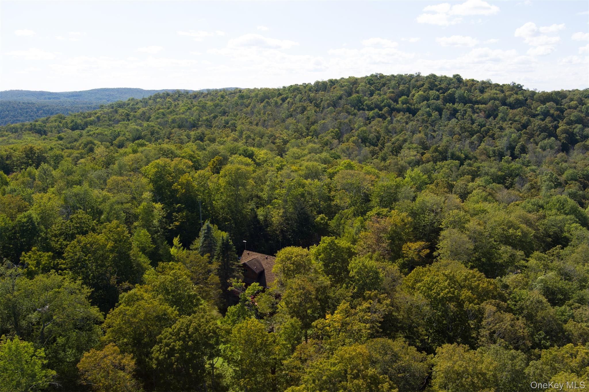 #3 photo, 85 Maccabee Road, Roscoe , NY 12776