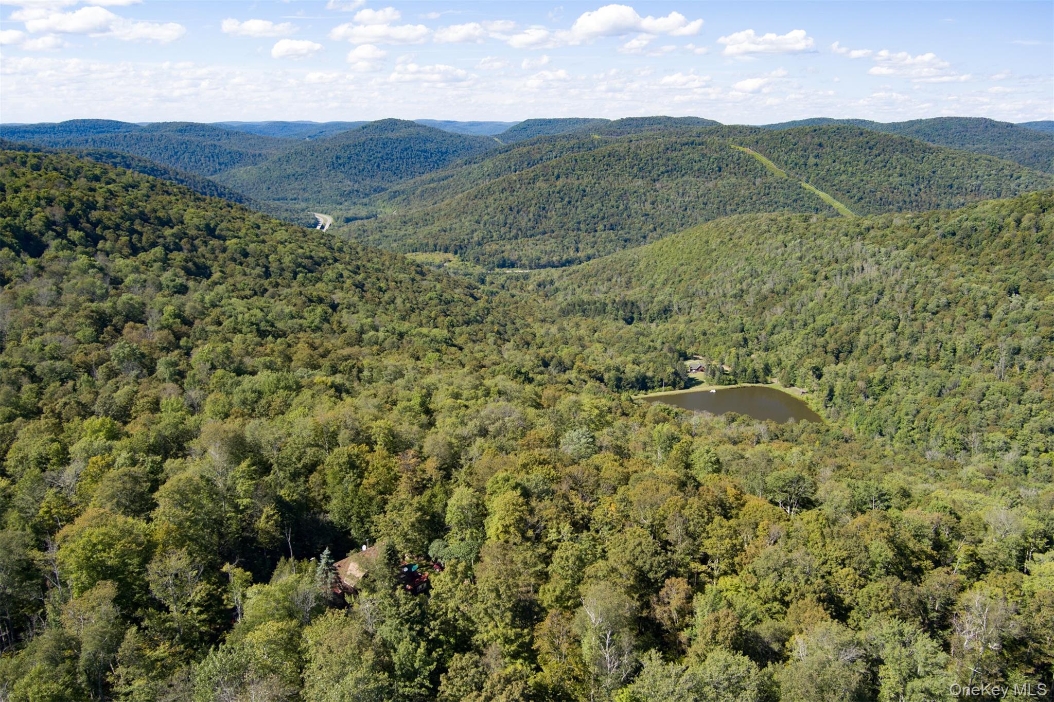 #4 photo, 85 Maccabee Road, Roscoe , NY 12776