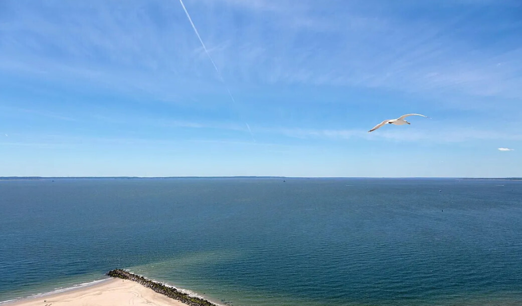 #8 photo, 1 Ocean Drive, ブルックリン区 Coney Island , NY 11224