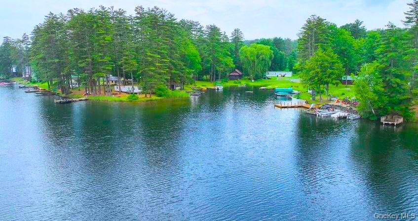 #10 photo, 302 Hadlock Pond, Call Listing Agent , NY 12827
