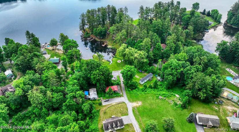 #20 photo, 302 Hadlock Pond, Call Listing Agent , NY 12827