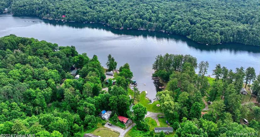 #3 photo, 302 Hadlock Pond, Call Listing Agent , NY 12827