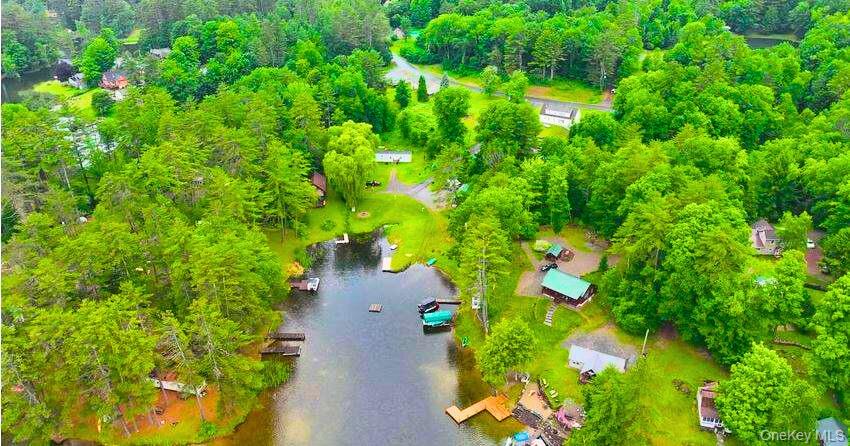 #8 photo, 302 Hadlock Pond, Call Listing Agent , NY 12827