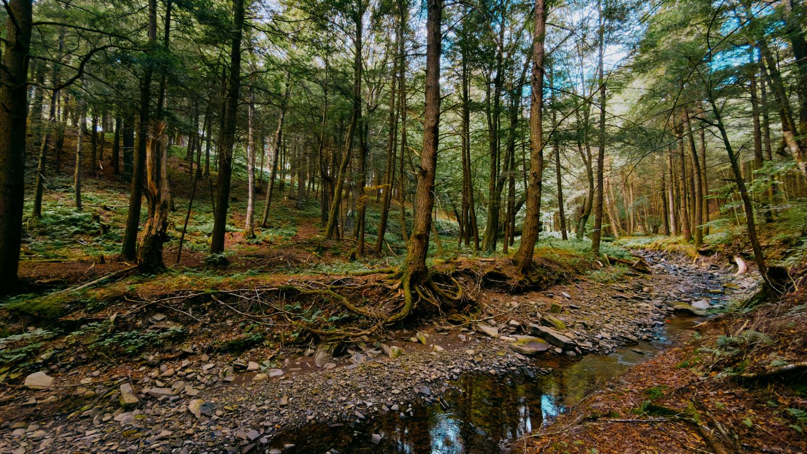 #1 photo, 0 Weidick Rd, Andes , NY 13731