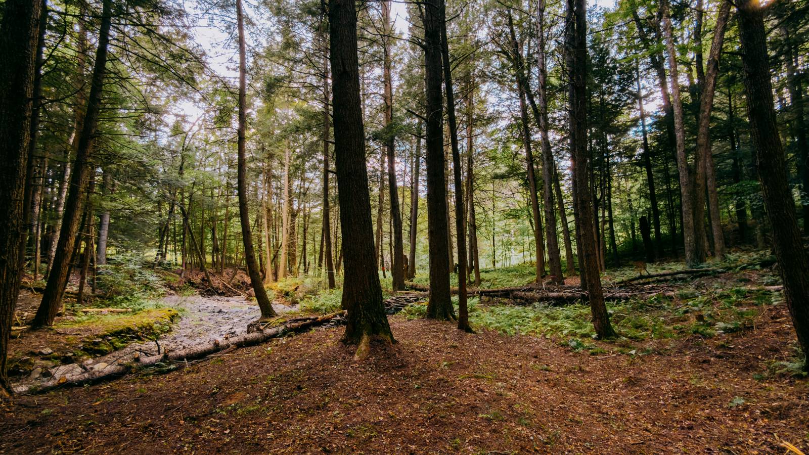 #12 photo, 0 Weidick Rd, Andes , NY 13731