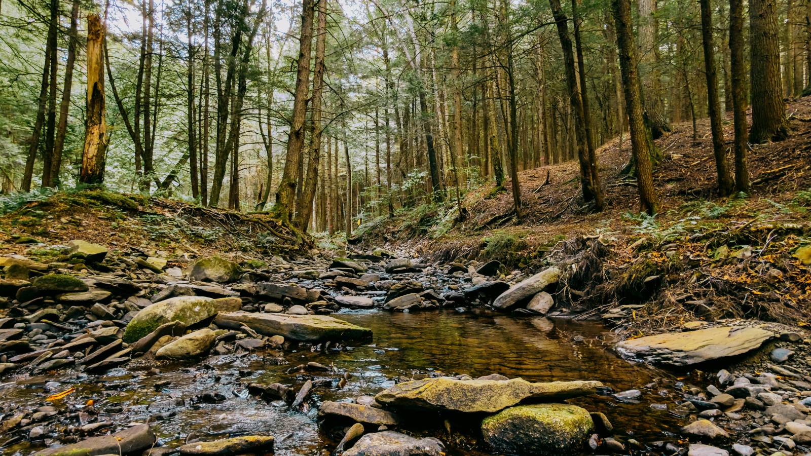 #17 photo, 0 Weidick Rd, Andes , NY 13731