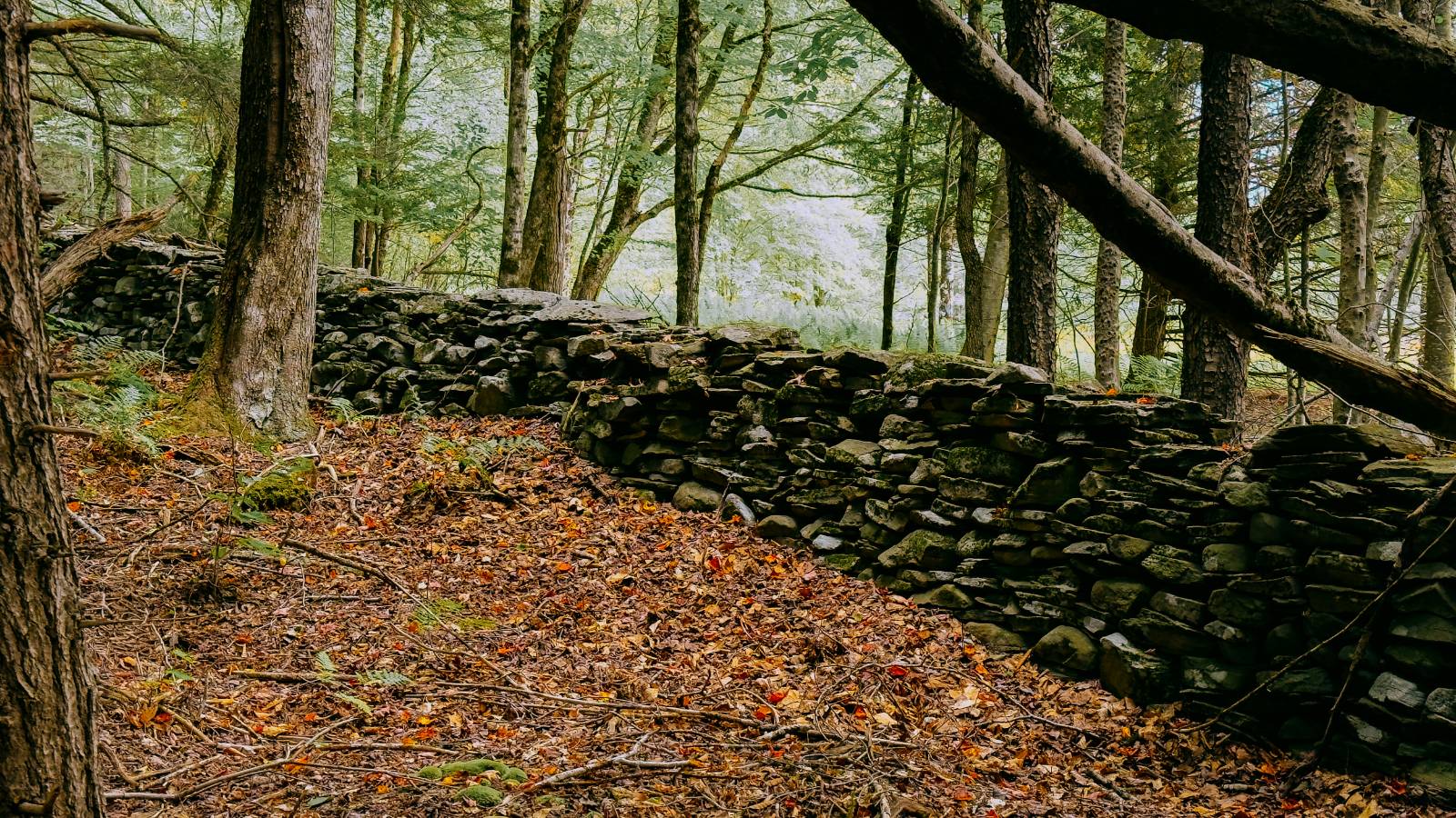 #18 photo, 0 Weidick Rd, Andes , NY 13731