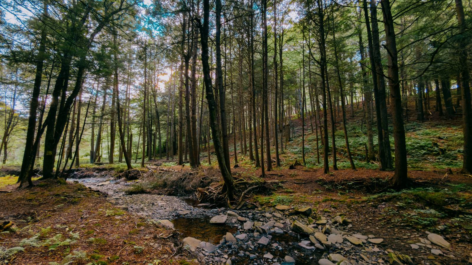 #23 photo, 0 Weidick Rd, Andes , NY 13731