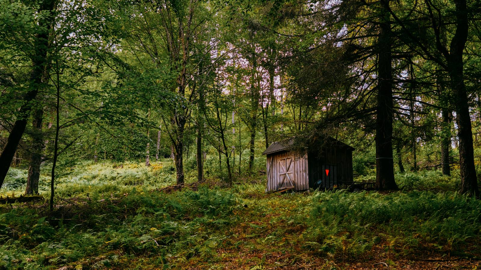 #24 photo, 0 Weidick Rd, Andes , NY 13731