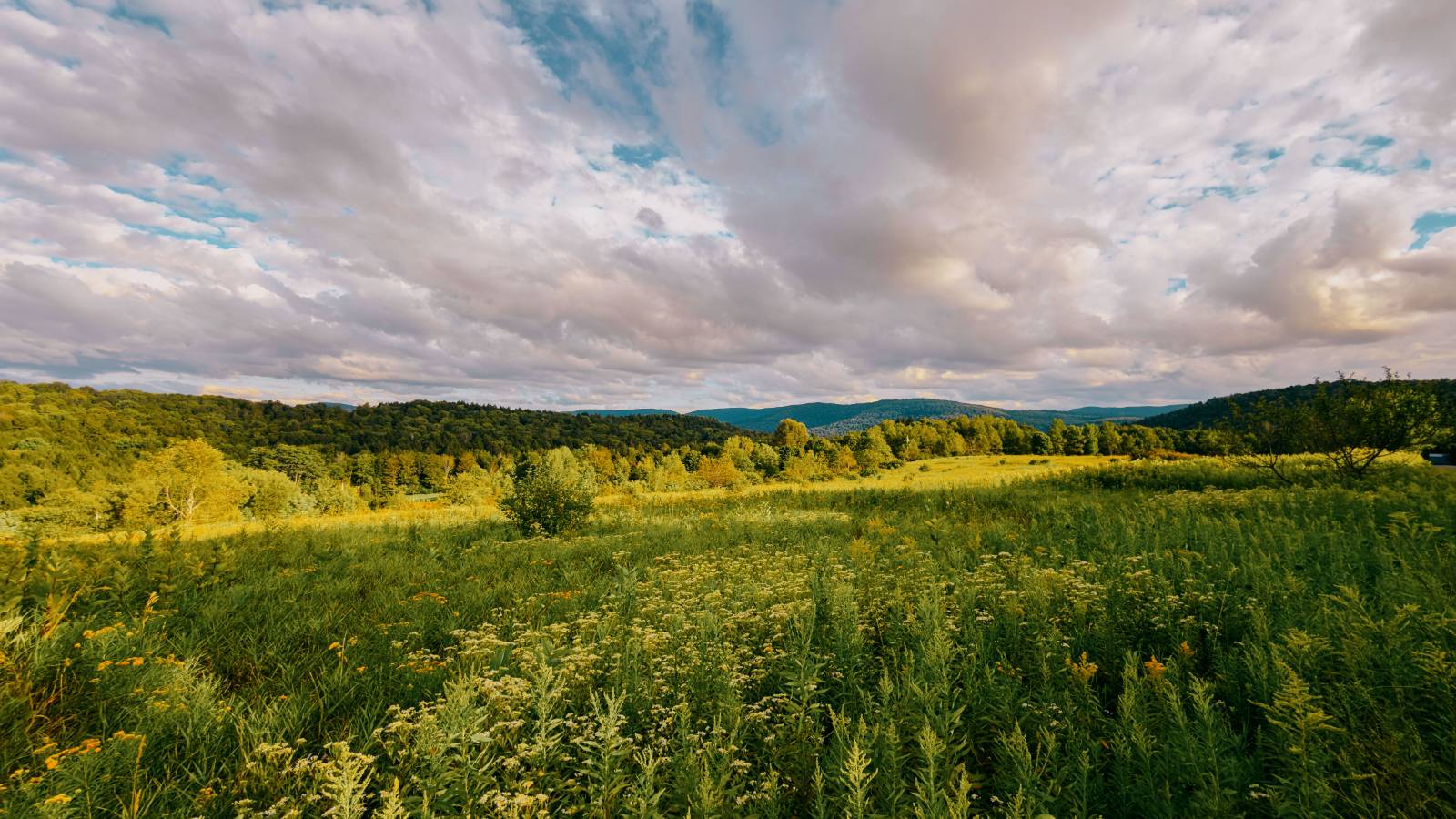 #26 photo, 0 Weidick Rd, Andes , NY 13731