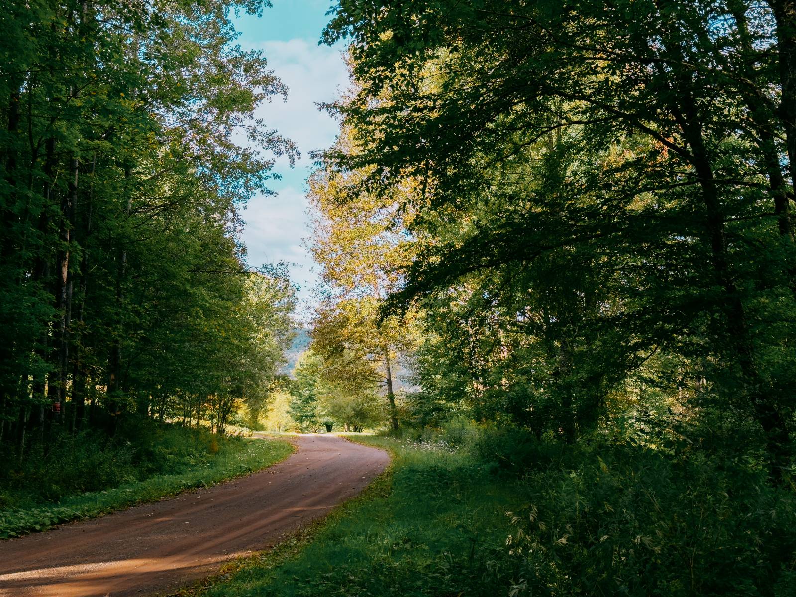 #3 photo, 0 Weidick Rd, Andes , NY 13731