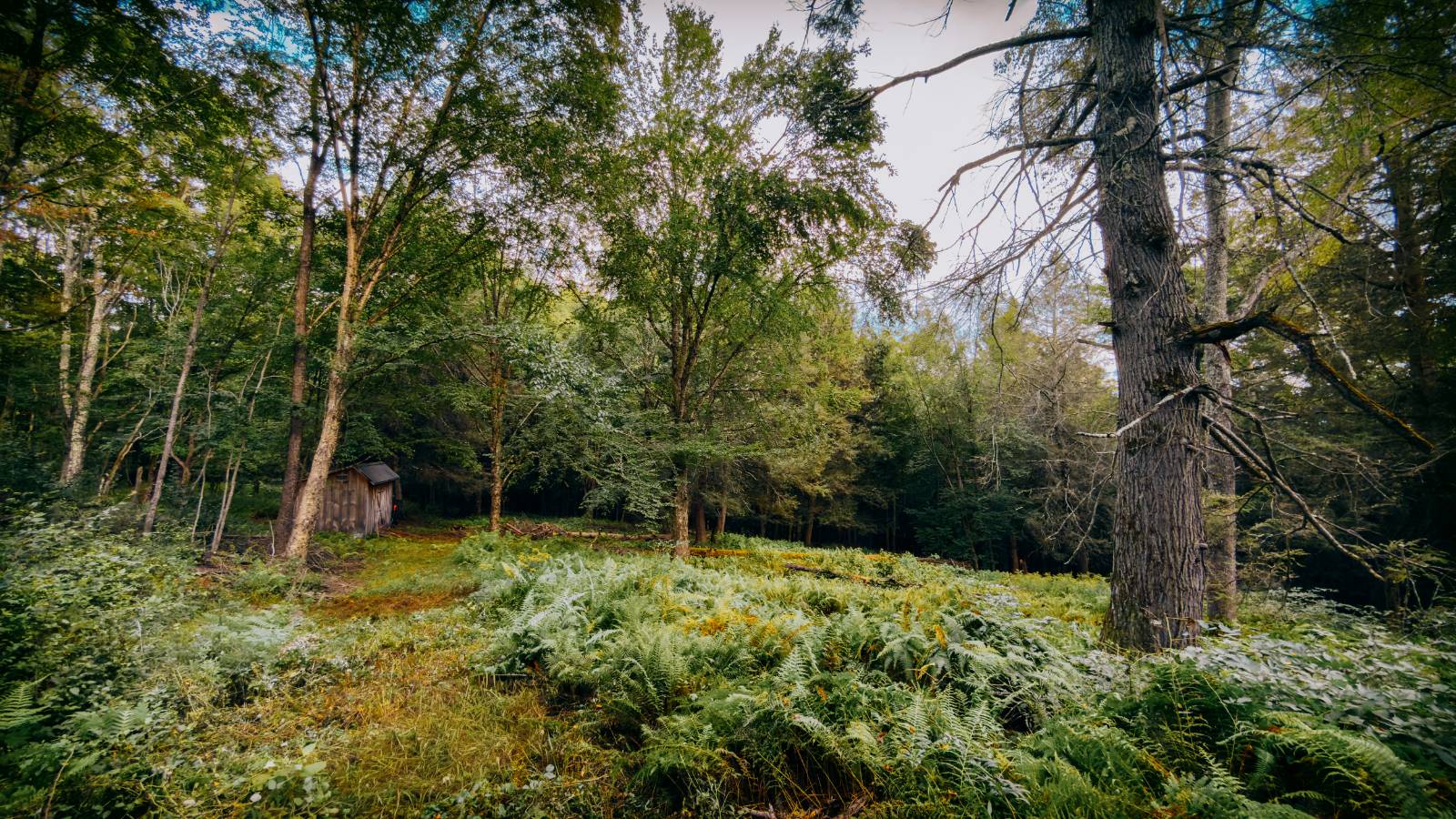 #4 photo, 0 Weidick Rd, Andes , NY 13731