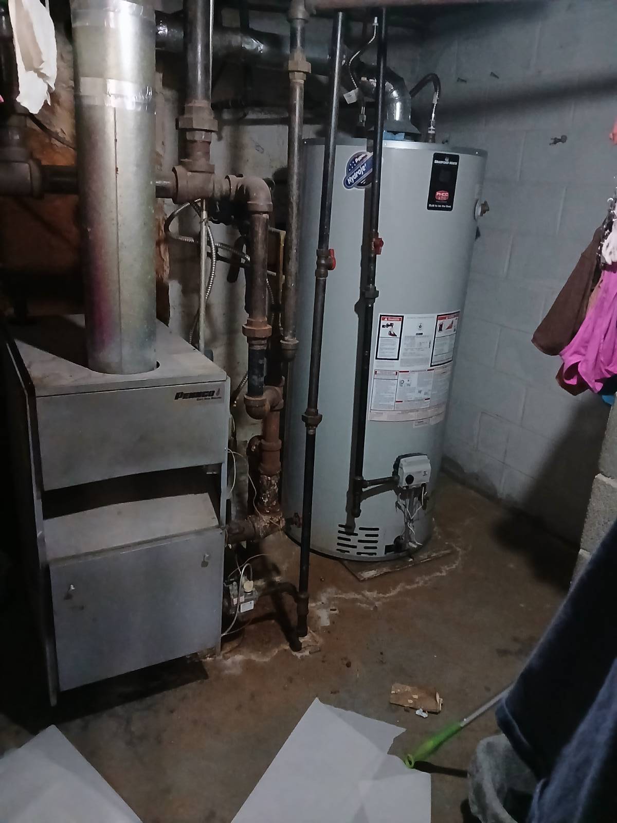 #15 photo, 4815 Tilden Ave, Little Caribbean , NY 11203