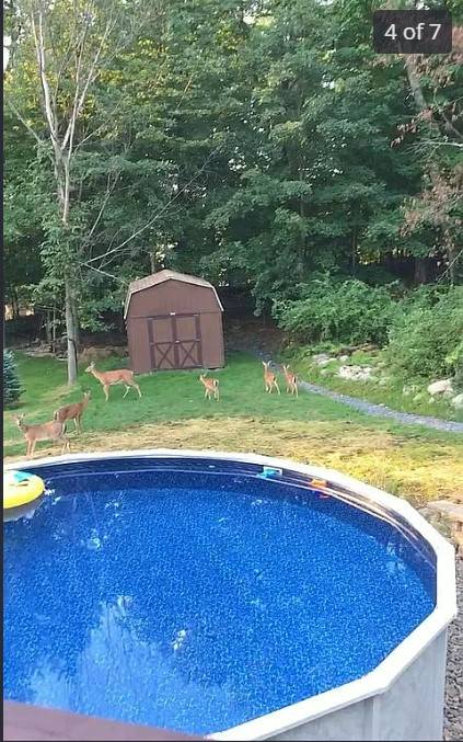 #7 photo, 1 GRANT CT., HIGHLAND MILLS , NY 10930