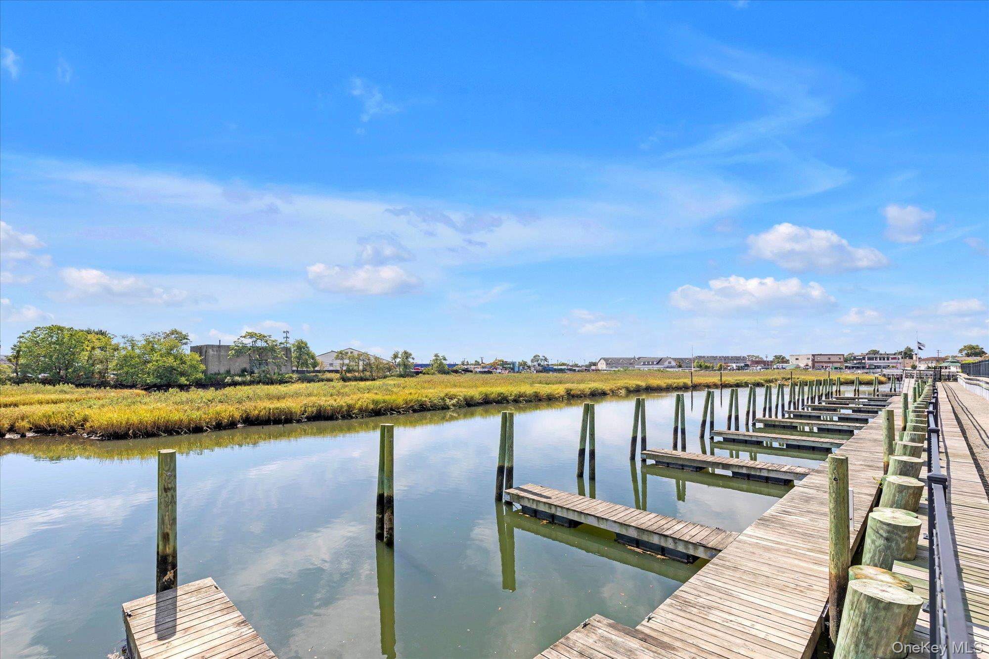 #15 photo, 214 Marina Pointe Drive, ナッソー郡 East Rockaway , NY 11518