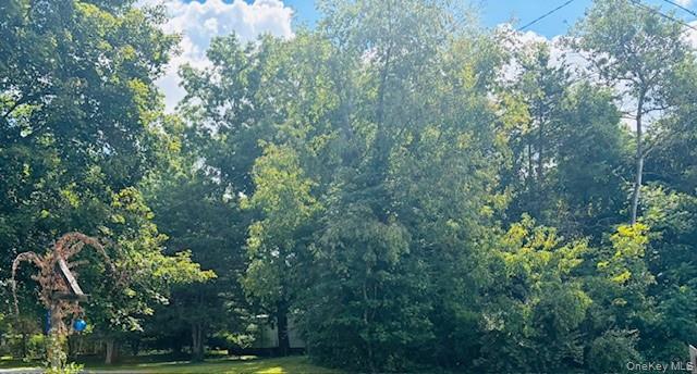 #2 photo, 58 Britton Street, Pine Plains , NY 12567