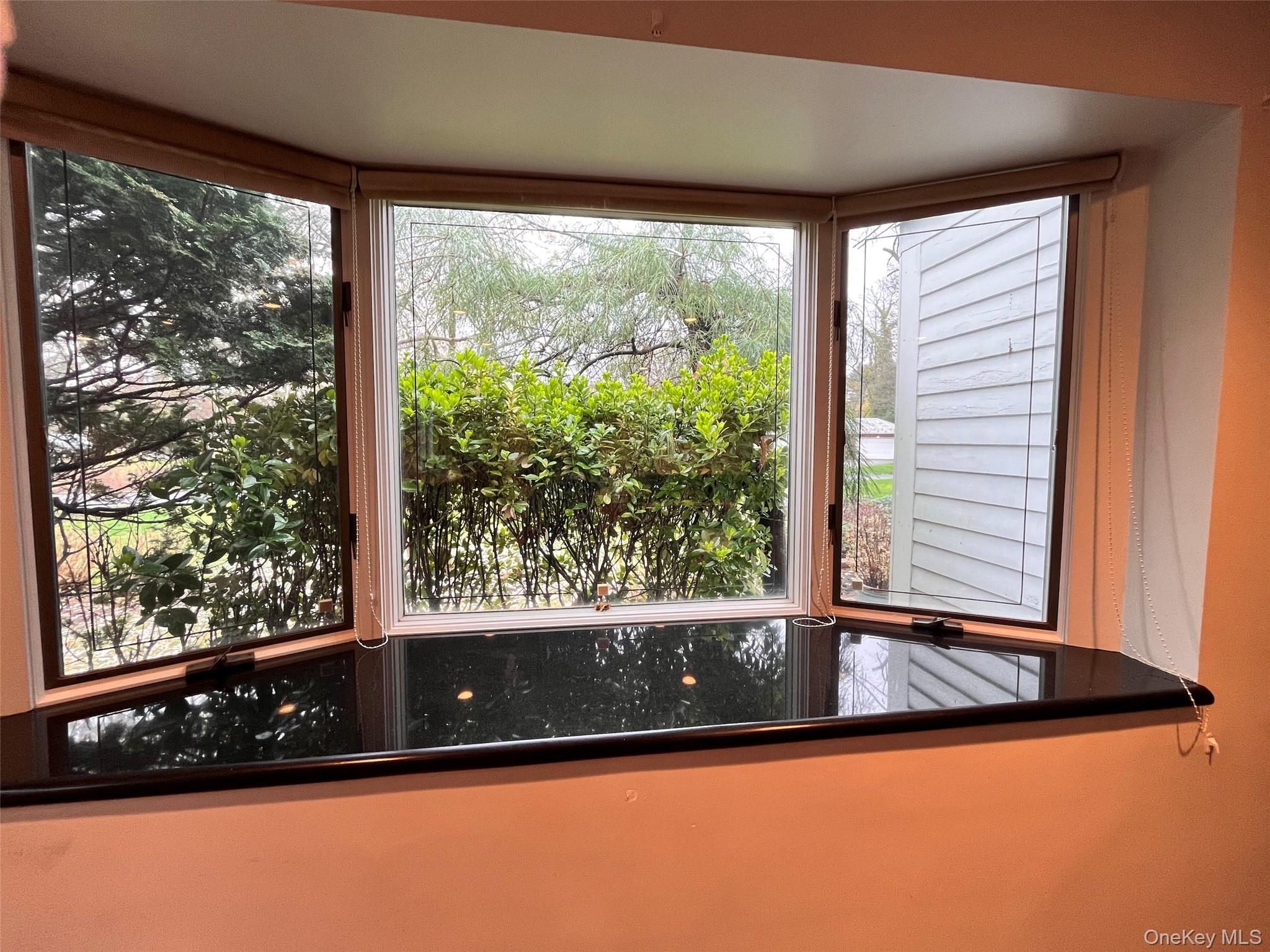 #10 photo, 26 Polo Field Lane, ナッソー郡 Lake Success , NY 11020