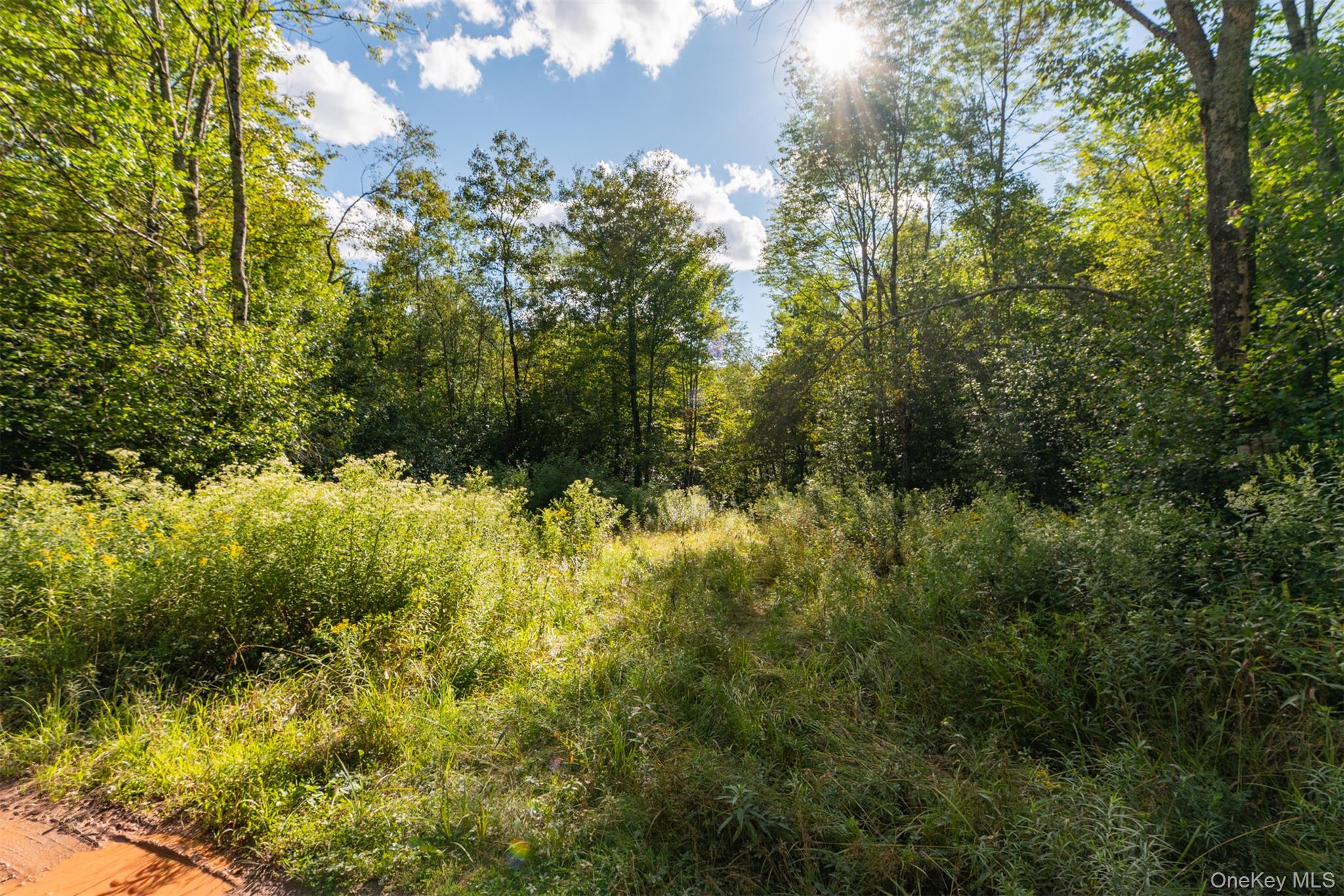 #1 photo, Maccabee Road, Roscoe , NY 