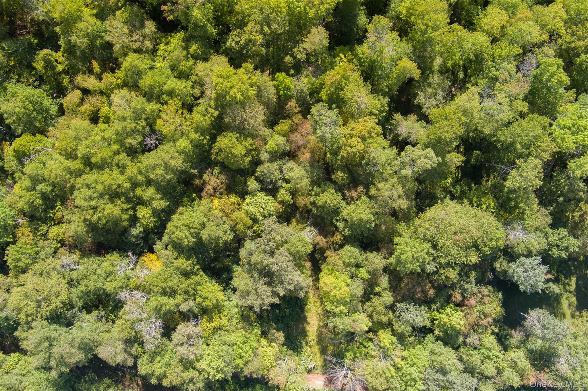 #2 photo, Maccabee Road, Roscoe , NY 