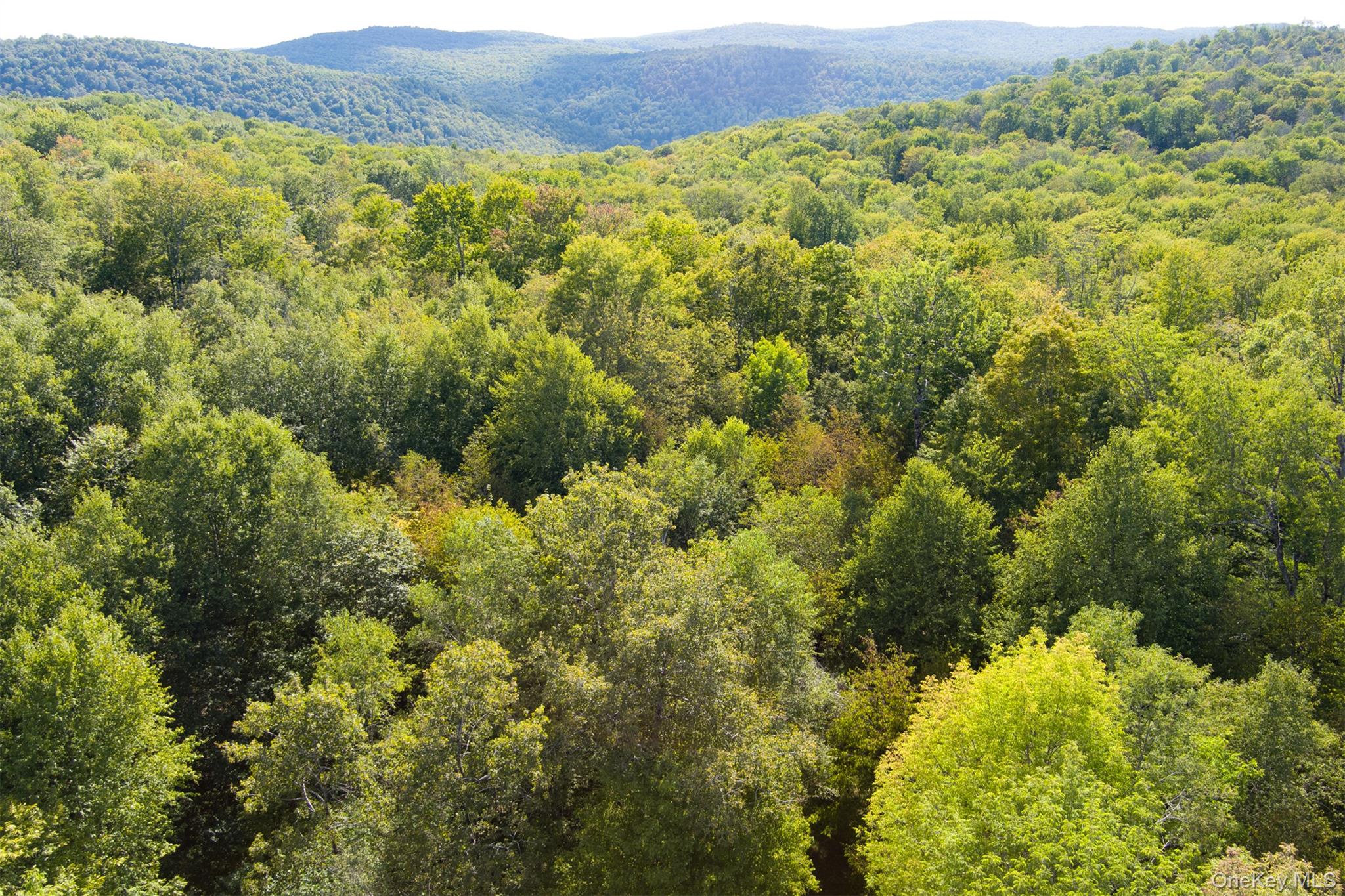 #3 photo, Maccabee Road, Roscoe , NY 